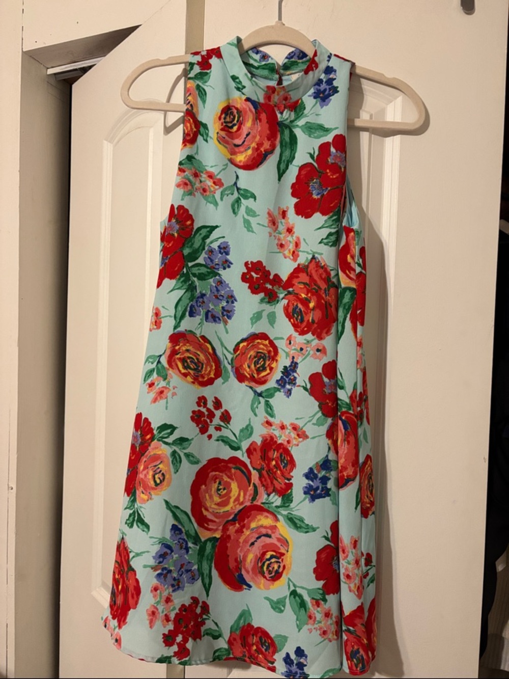 Everly Aqua Floral Sleeveless A-Line Dress with Red Roses